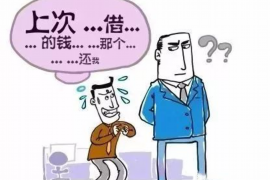 那曲那曲的要账公司在催收过程中的策略和技巧有哪些？